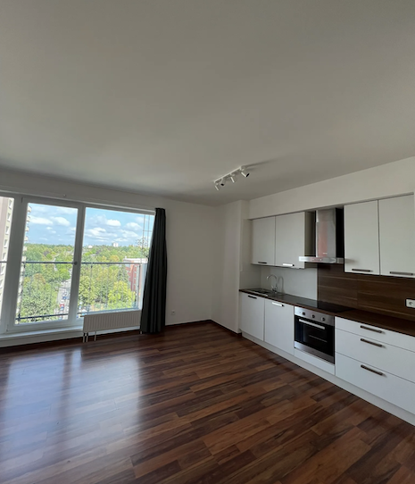 Pronájem bytu 1+kk - Malešice, Praha