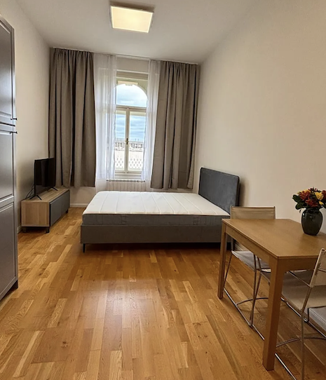 Pronájem bytu 1+kk - Vinohrady, Praha