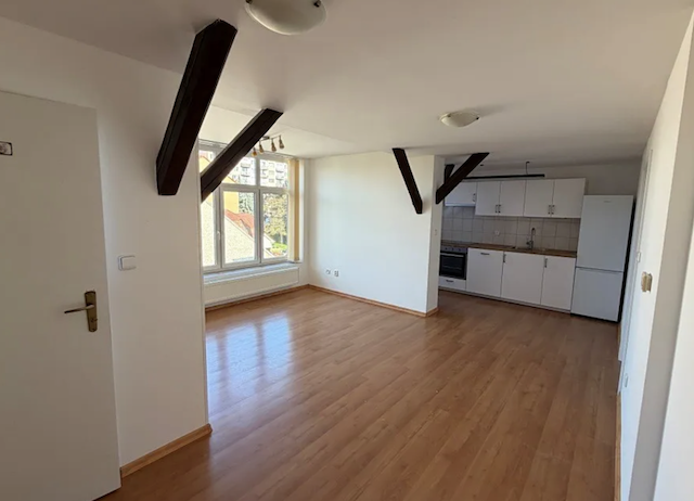 Pronájem bytu 3+kk - České Budějovice 3