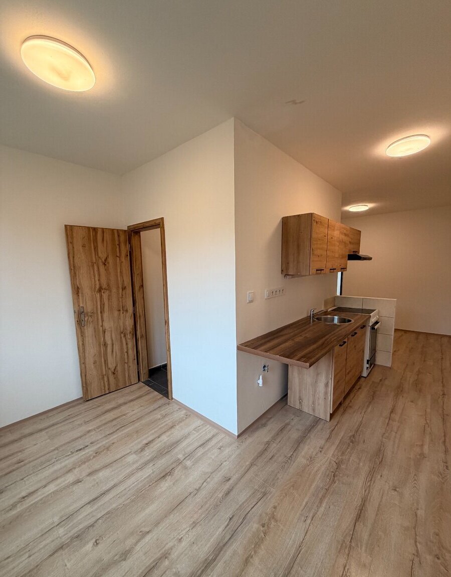 Pronájem bytu 2+1 - Písečná, Chomutov