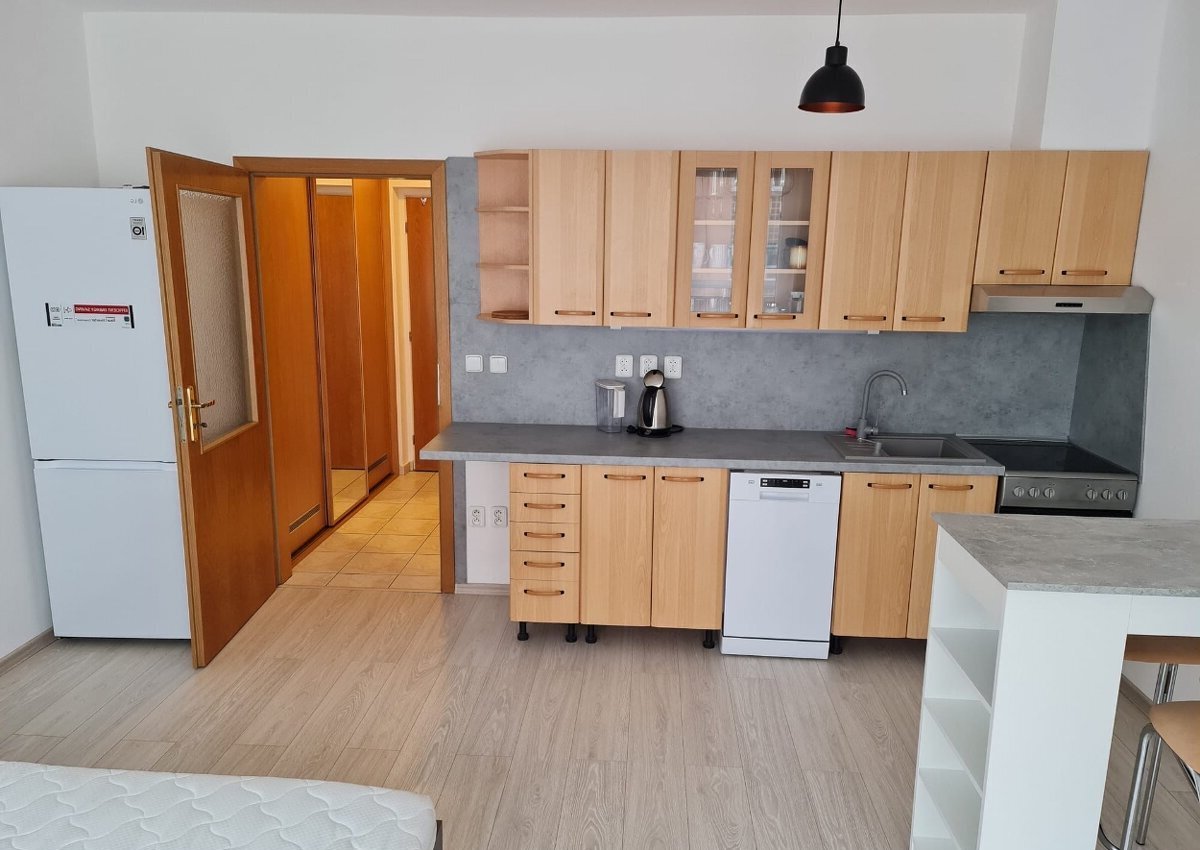 Pronájem bytu garsoniéra - Strašnice, Praha