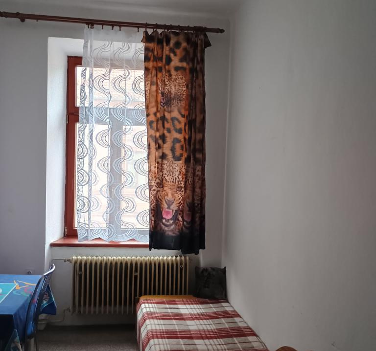 Pronájem bytu 1+kk - Vnitřní Město, Písek