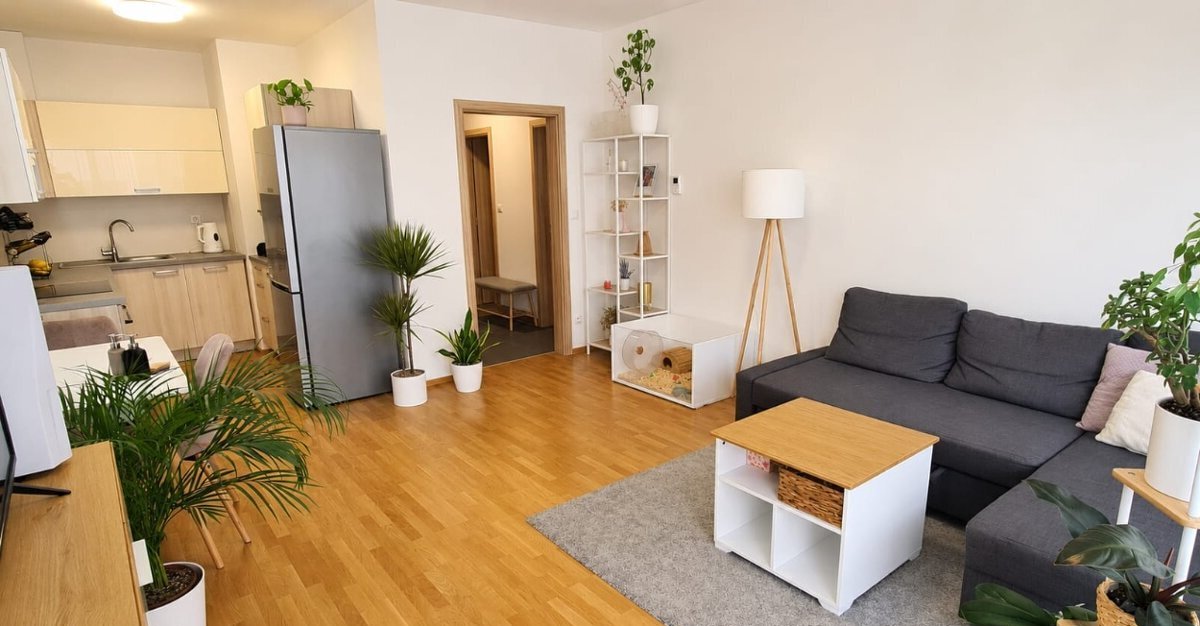 Pronájem bytu 2+kk - Olomouc - centrum