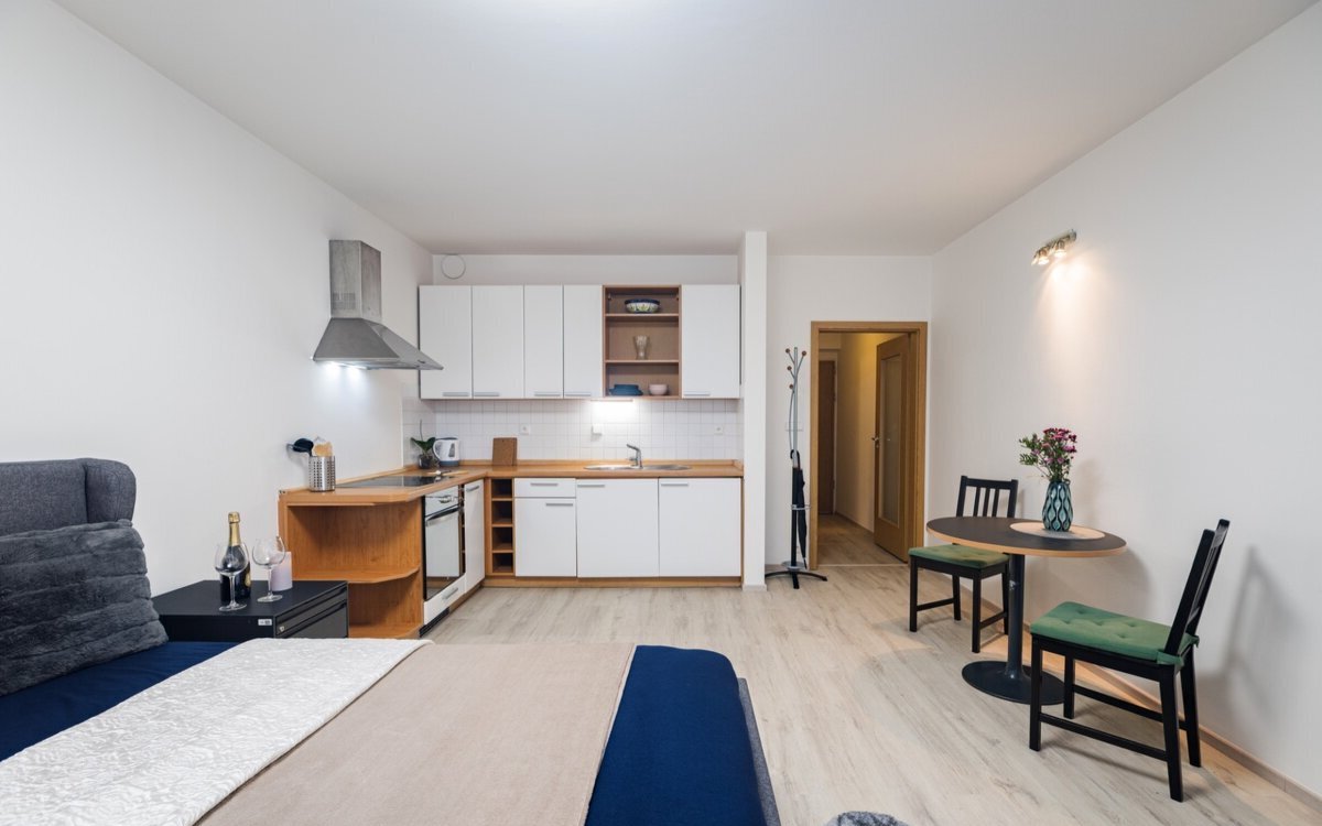 Pronájem bytu 1+kk - Žižkov, Praha