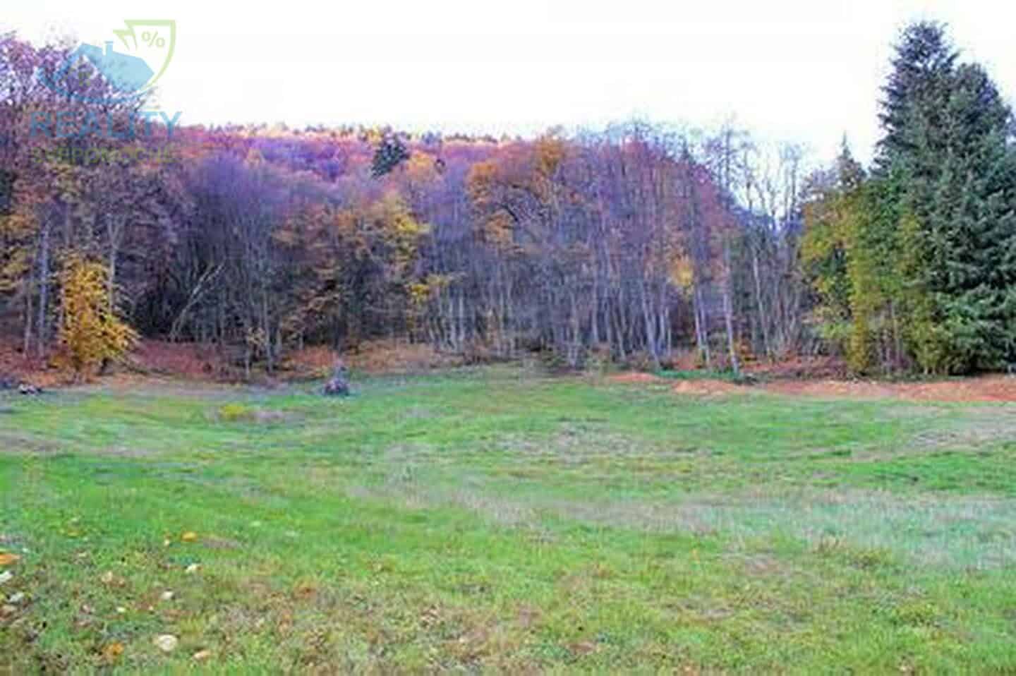 Nabízím k pronajmutí pastviny. Ideálně dlouhodobě.