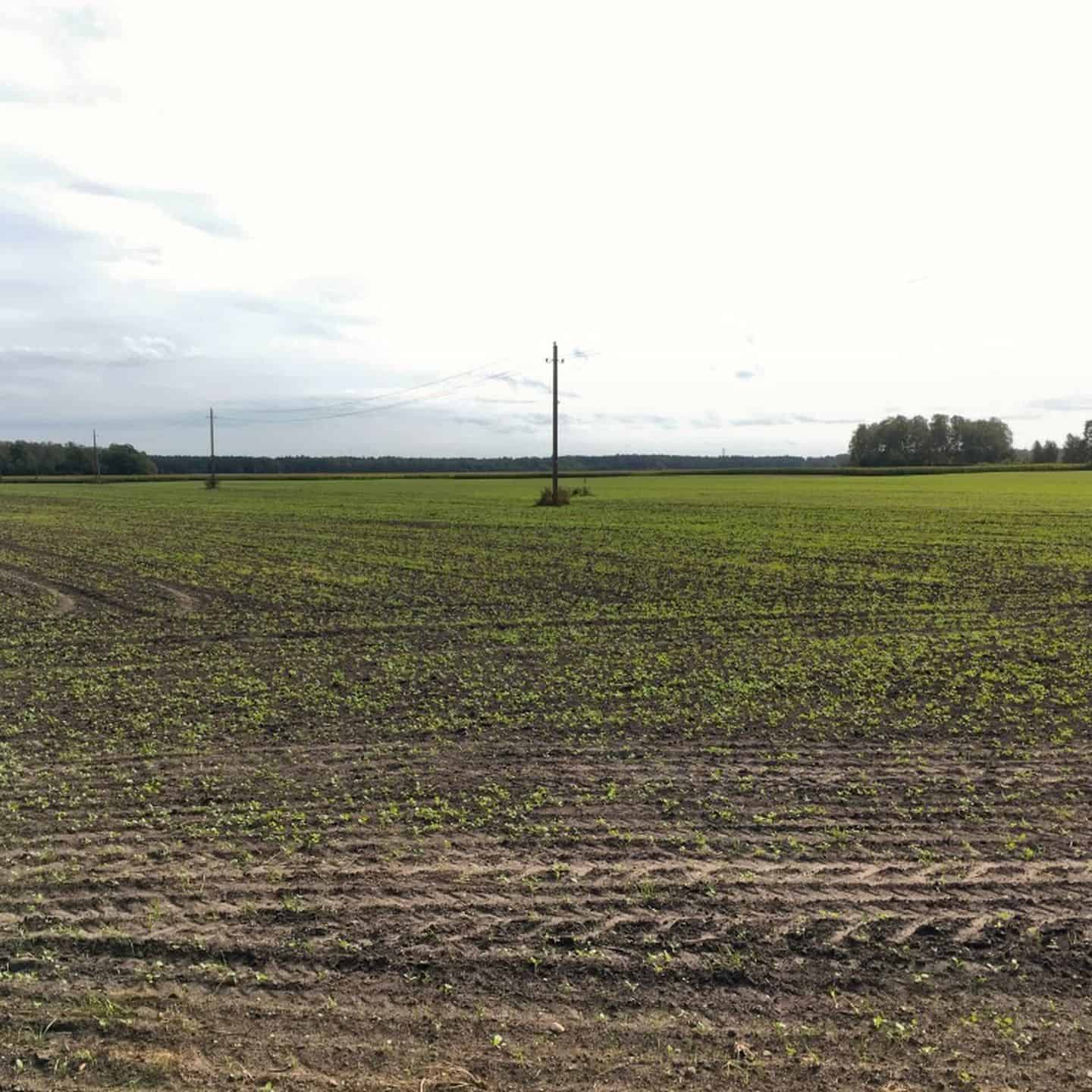 Pronájmu pole pro zemědělce