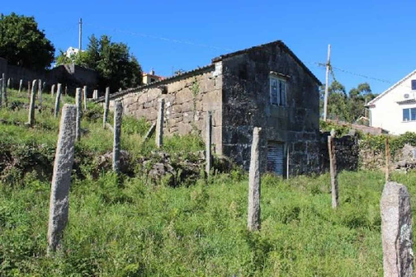 Nabízím k pronájmu starý vinohrad