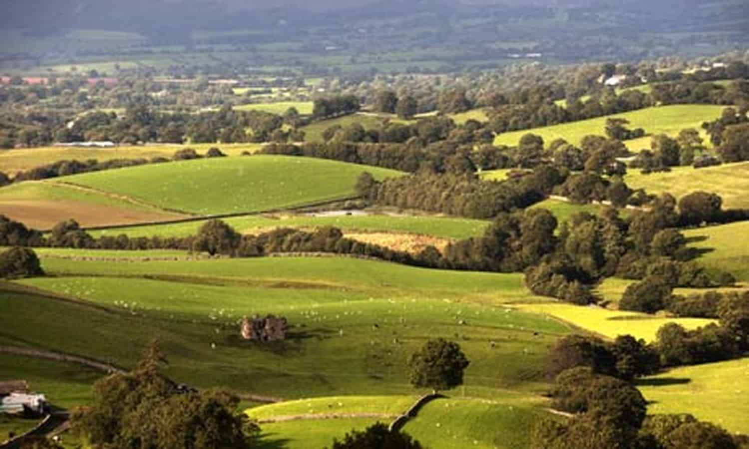 Pole a pastviny pro zemědělce