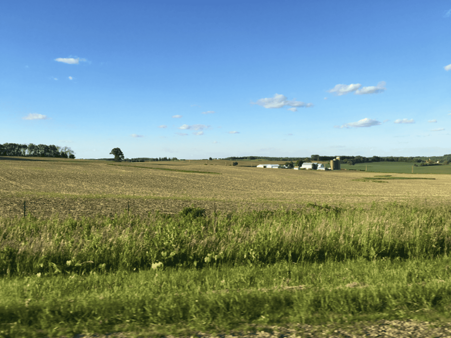 Pronájem polního pozemku pro zemědělce