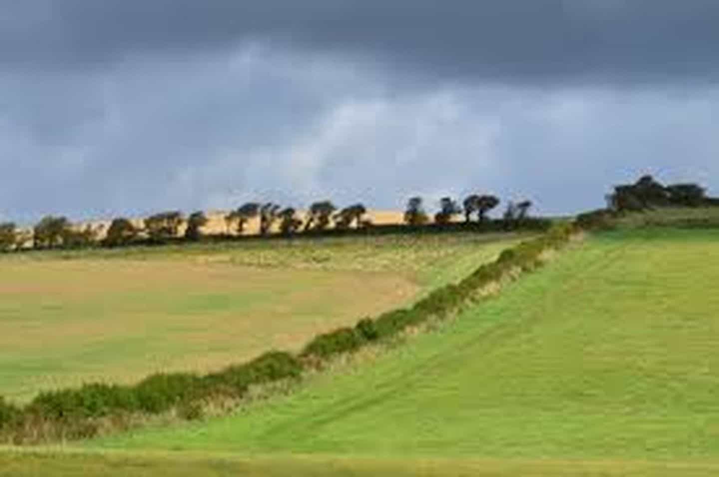 Nabízím k pronájmu polnosti a pastviny