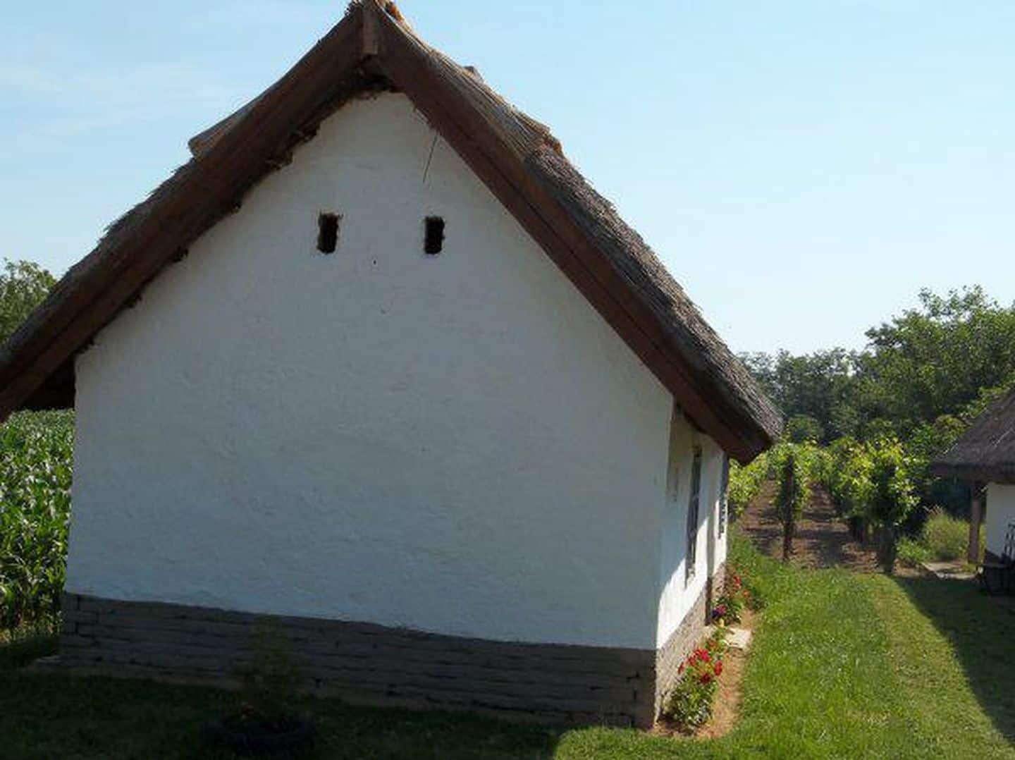 Romantická chalupa s vinohradem k pronájmu