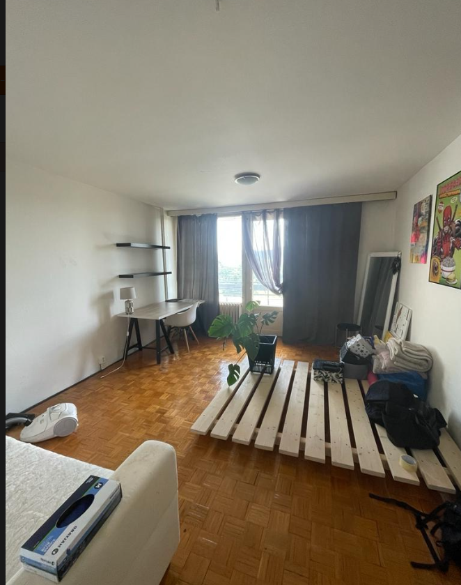 Pronájem bytu 1+kk - Lidové sady, Liberec