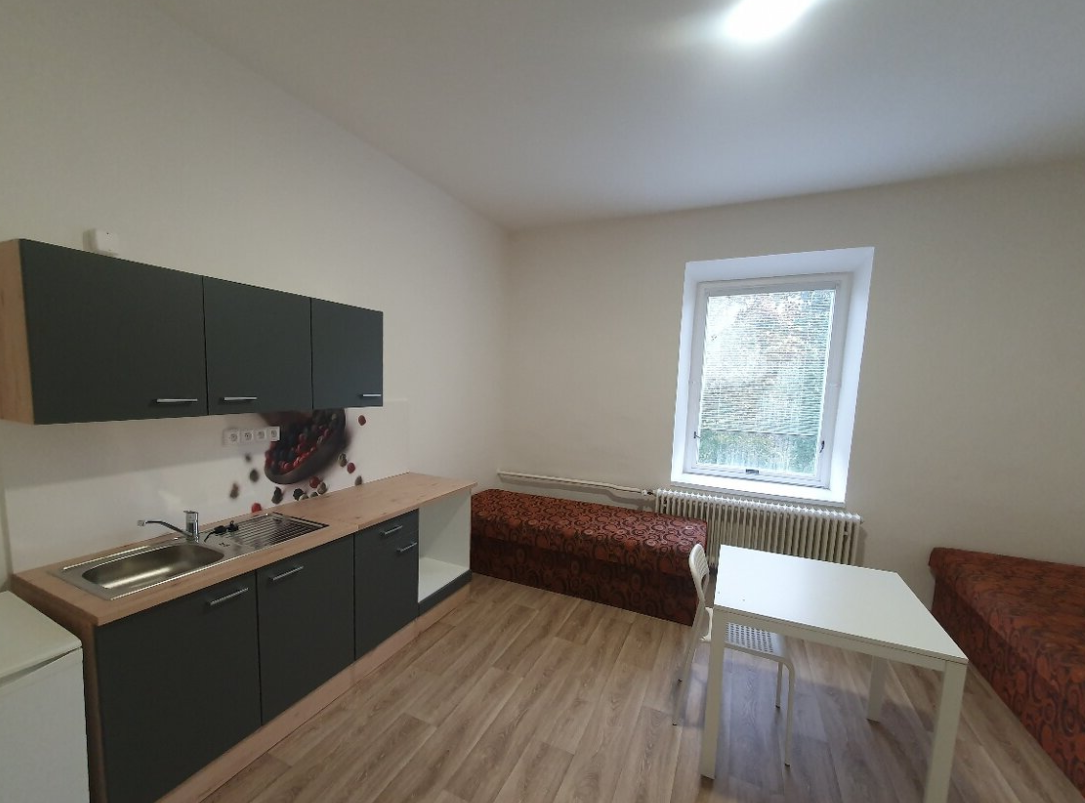 Pronájem bytu garsoniéra - Pražská tř., České Budějovice