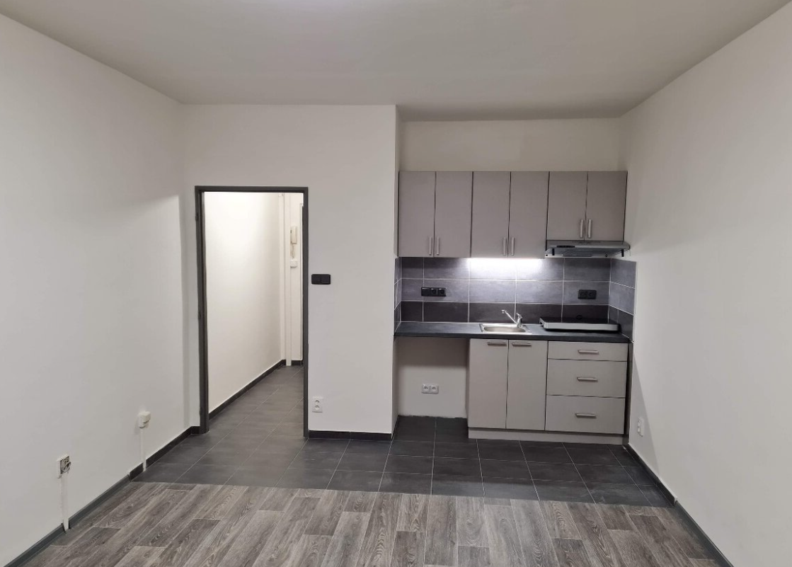 Pronájem bytu garsoniéra - Moravské Předměstí, Hradec Králové