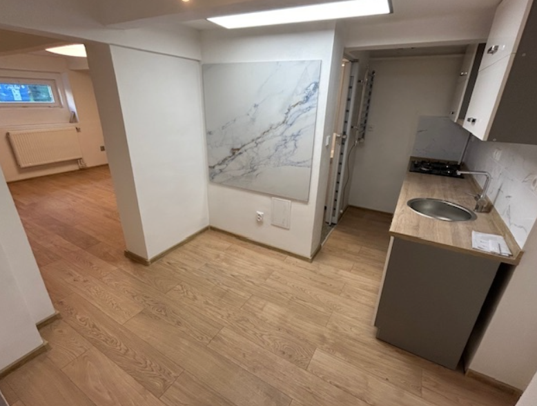 Pronájem bytu 1+1 - Hodolany, Olomouc