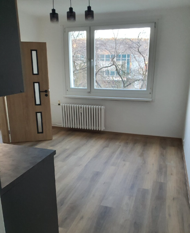 Pronájem bytu 1+1 - Neštěmice, Ústí nad Labem