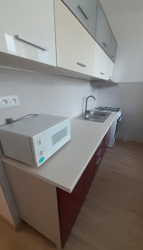 Pronájem bytu 1+1 - Lány, Svitavy