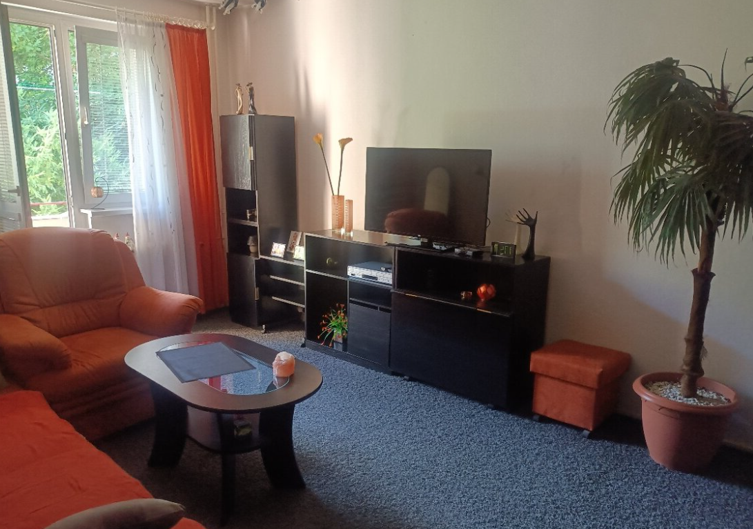 Pronájem bytu 2+1 - Bartošova čtvrť, Zlín