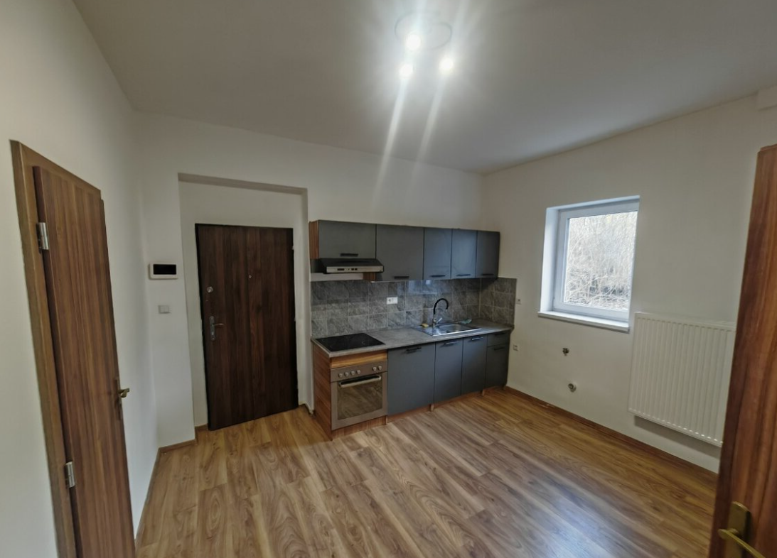 Pronájem bytu 1+1 - Rybáře, Karlovy Vary