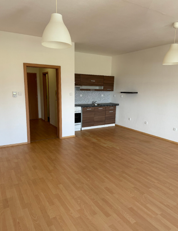 Pronájem bytu 1+kk - Písek