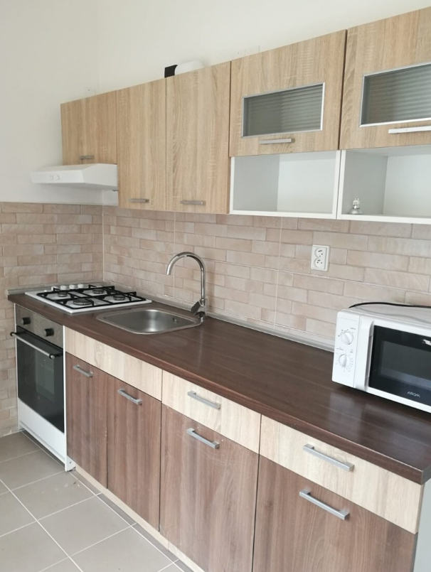 Pronájem bytu 1+1 - Petra Jilemnického, Most II