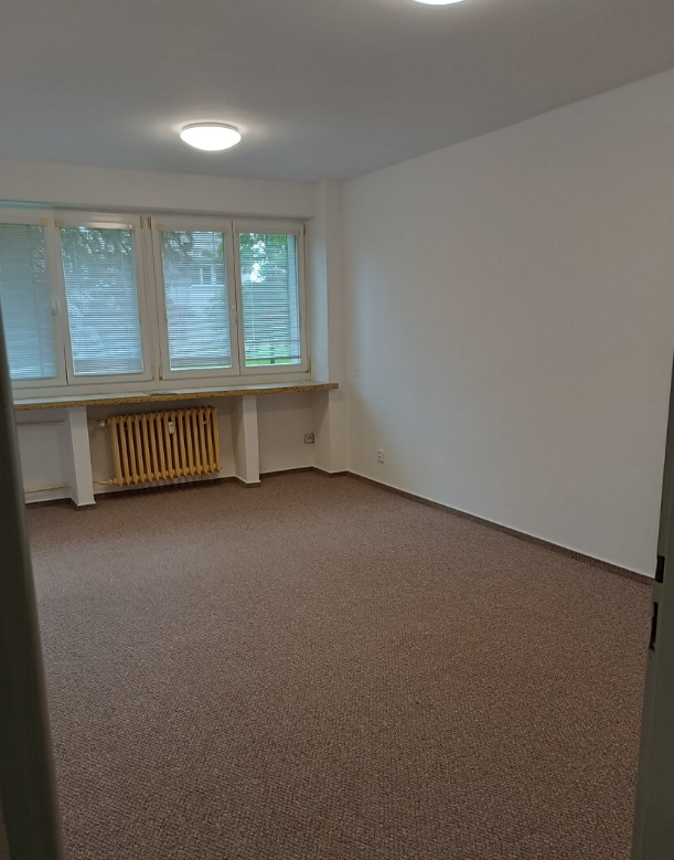 Pronájem bytu 1+1 - Malenovice, Zlín