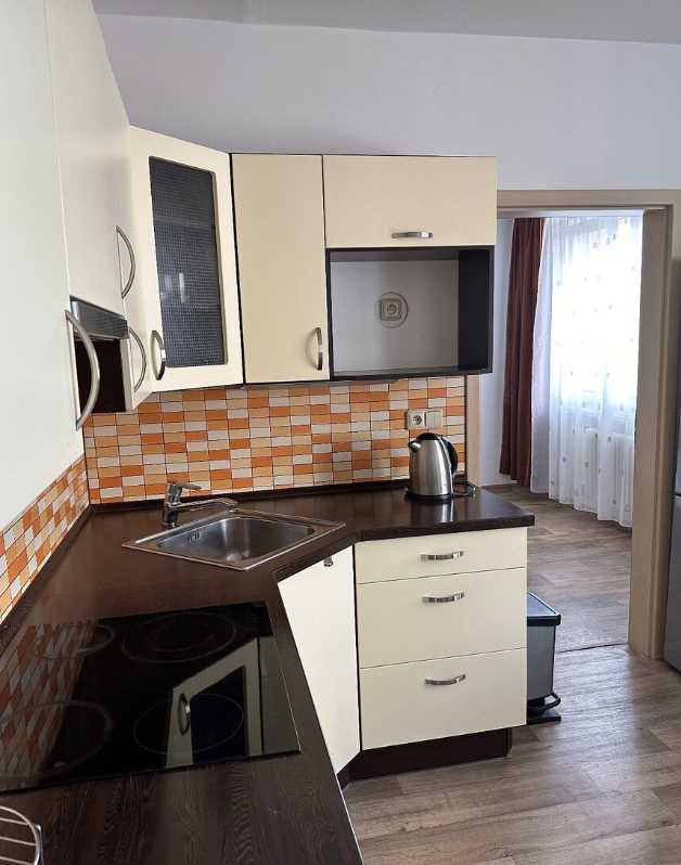 Pronájem bytu 1+1 - Rybáře, Karlovy Vary