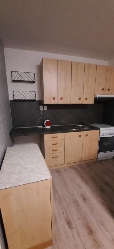 Pronájem bytu 3+1 - Most