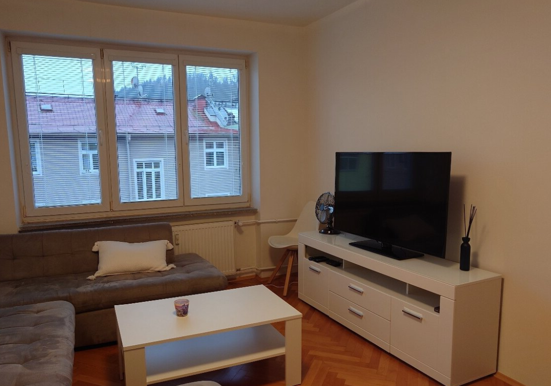 Pronájem bytu 2+1 - Karlovy Vary