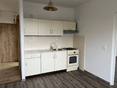 Pronájem bytu 1+1 - Severní Terasa, Ústí nad Labem