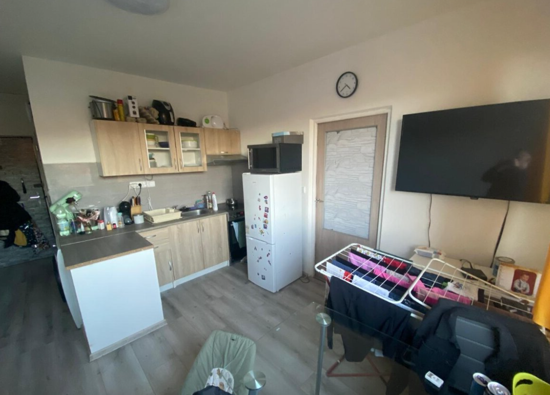 Pronájem bytu 1+1 - Neštěmice, Ústí nad Labem