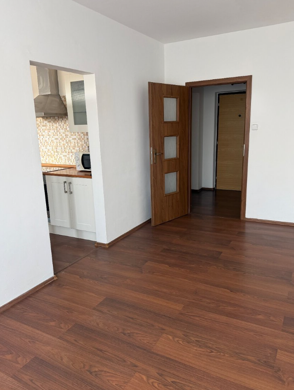 Pronájem bytu 3+1 - Rybáře, Karlovy Vary