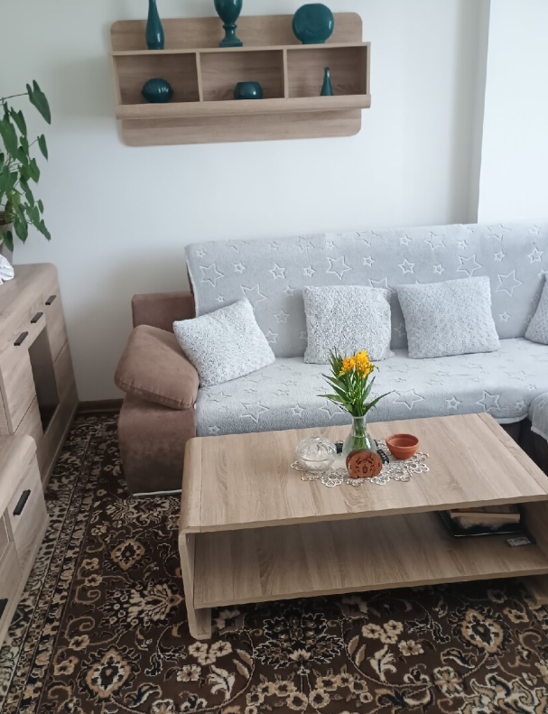 Pronájem bytu 1+kk - 17. listopadu, Mladá Boleslav II