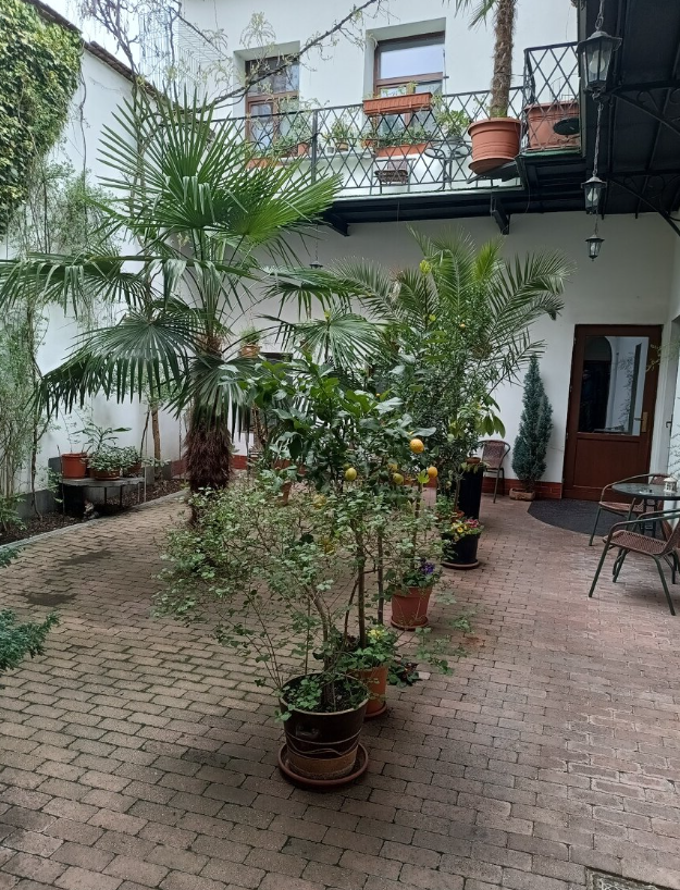 Pronájem bytu garsoniéra - Olomouc