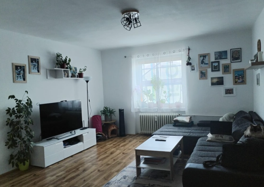 Pronájem bytu 3+1 - Josefa Skupy, Most